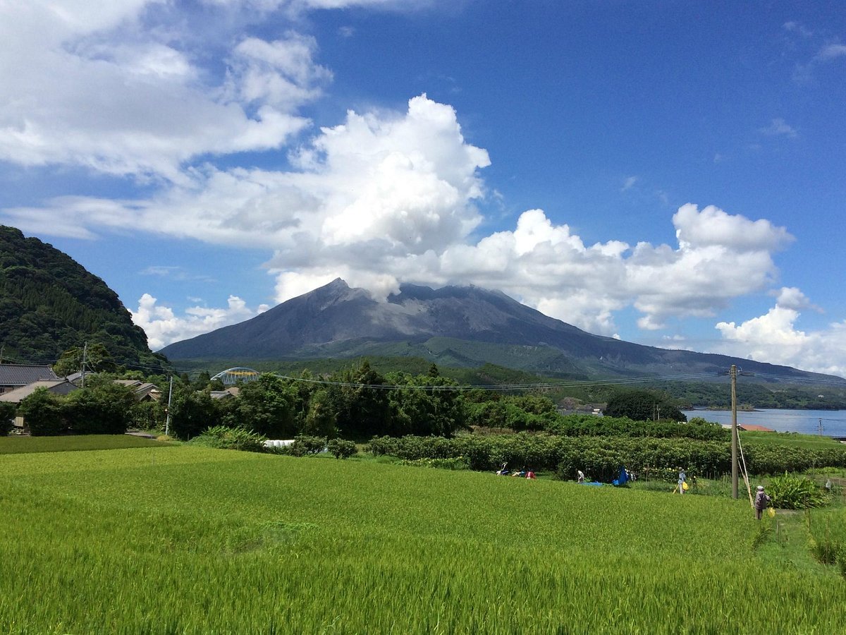 ⛩️ 우시네 산기슭 이나리 신사 매몰 도리이(우시네후모토 이나리진자 마이보츠토리이) 이미지 7